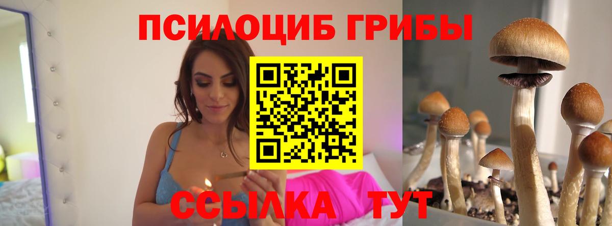 где можно купить   Псилоцибиновые грибы GOLDEN TEACHER  Вход с VPN  Новый Уренгой 
